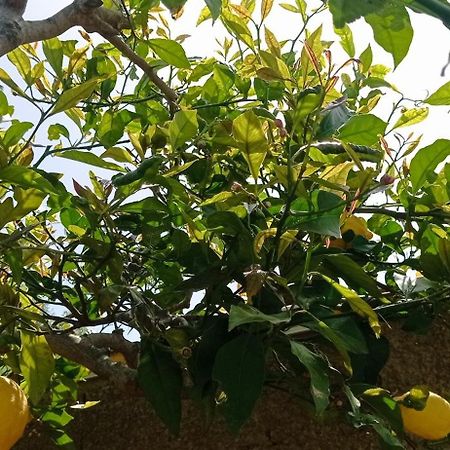 Apartmán La Pica Marina Anacapri Exteriér fotografie